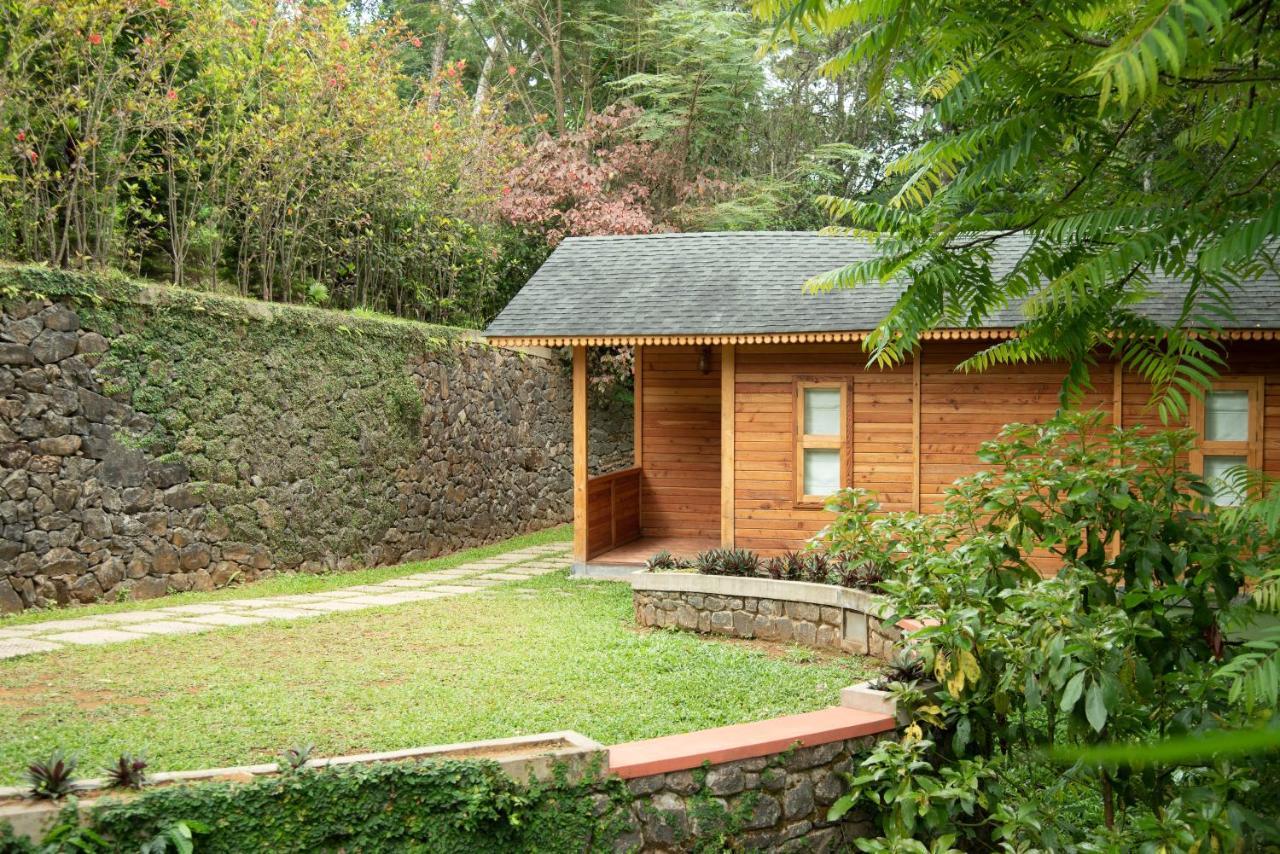 Misty Mountain Experience Hotel Pirmed Exterior photo