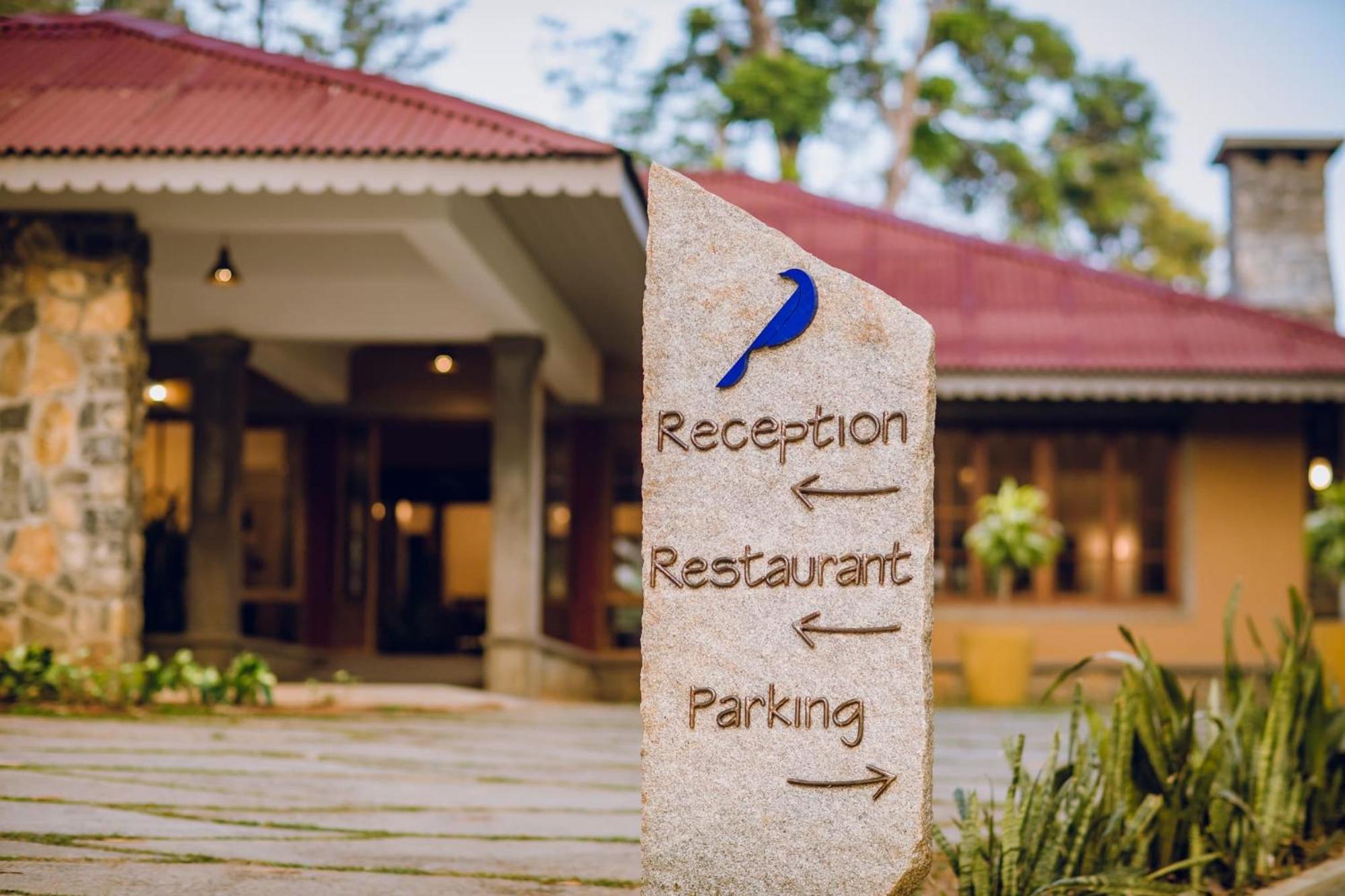 Misty Mountain Experience Hotel Pirmed Exterior photo